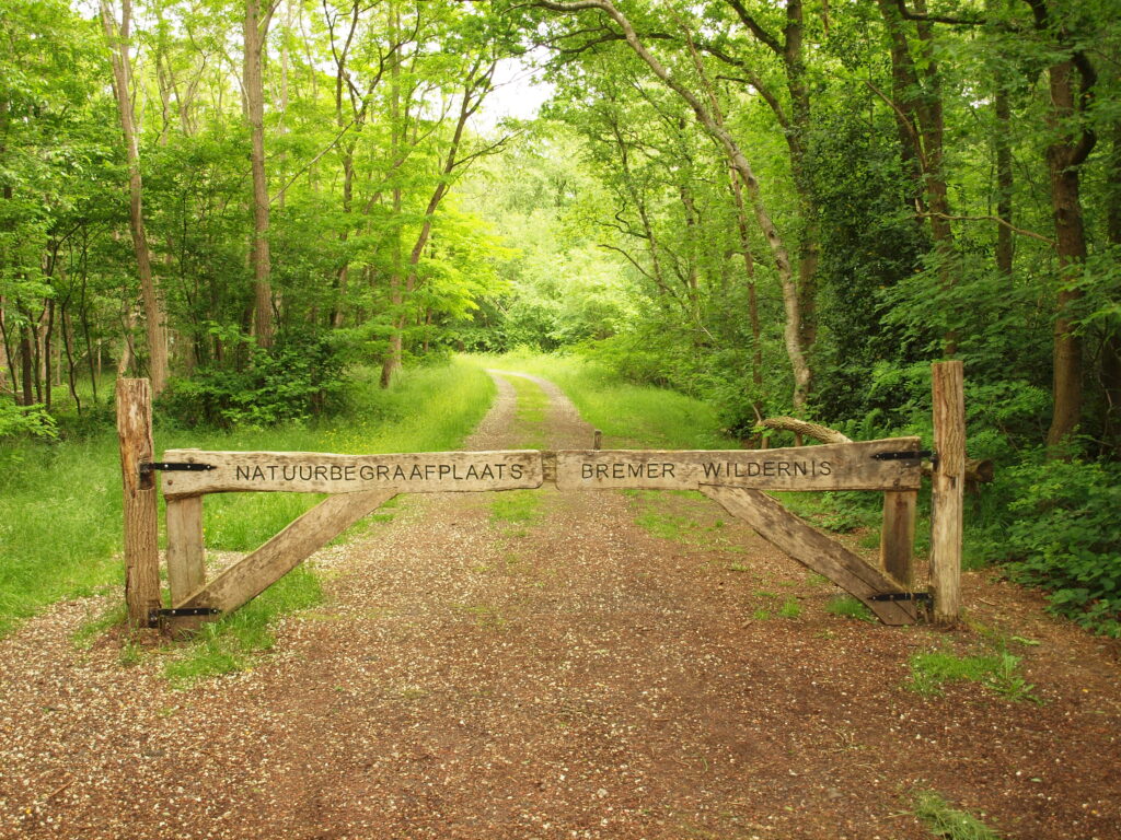 Sondel - Natuurbegraafplaats Bremer Wildernis